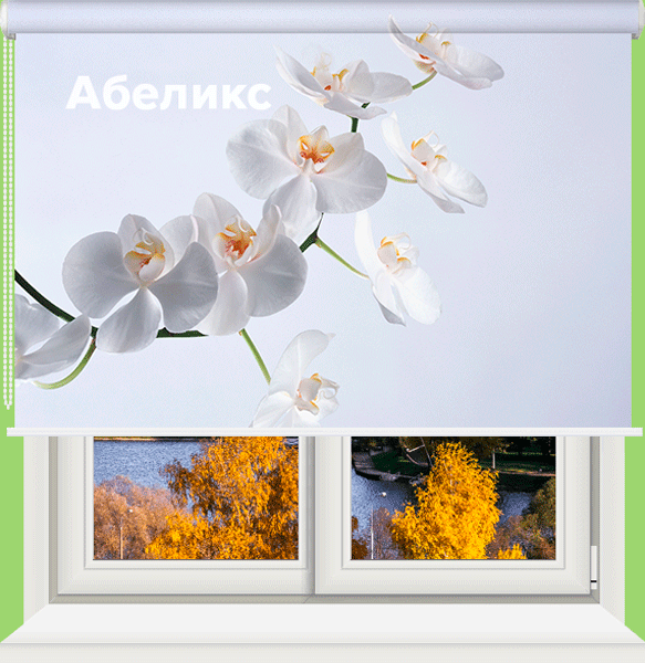 Рольшторы с фотопечатью